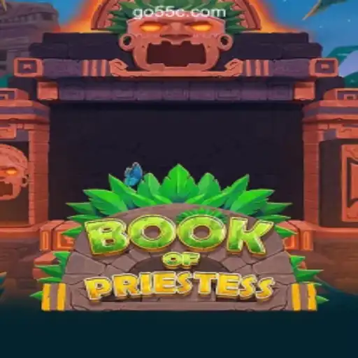 Exploring the Mystical World of BookOfPriestess: Brazil's #1 Online Cassino